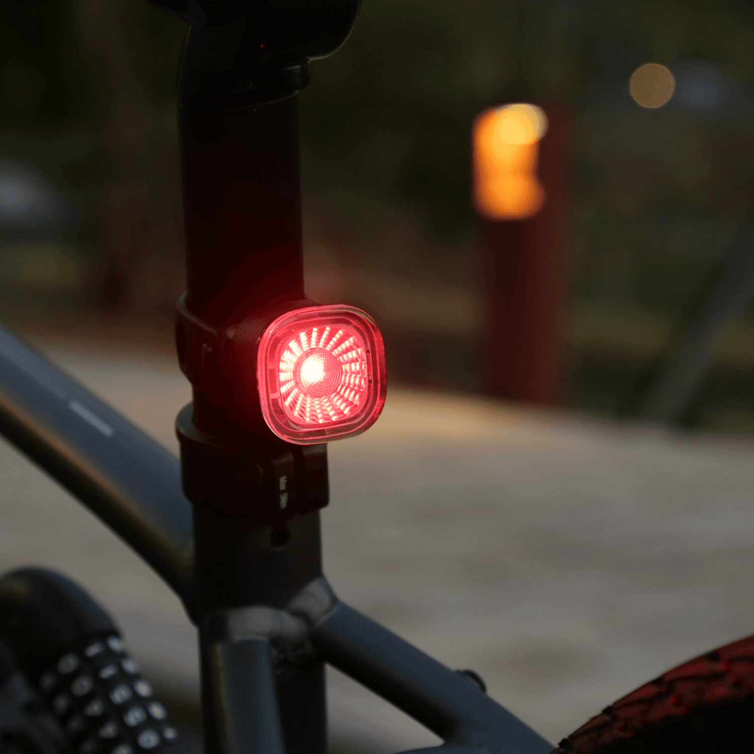 Rear Light