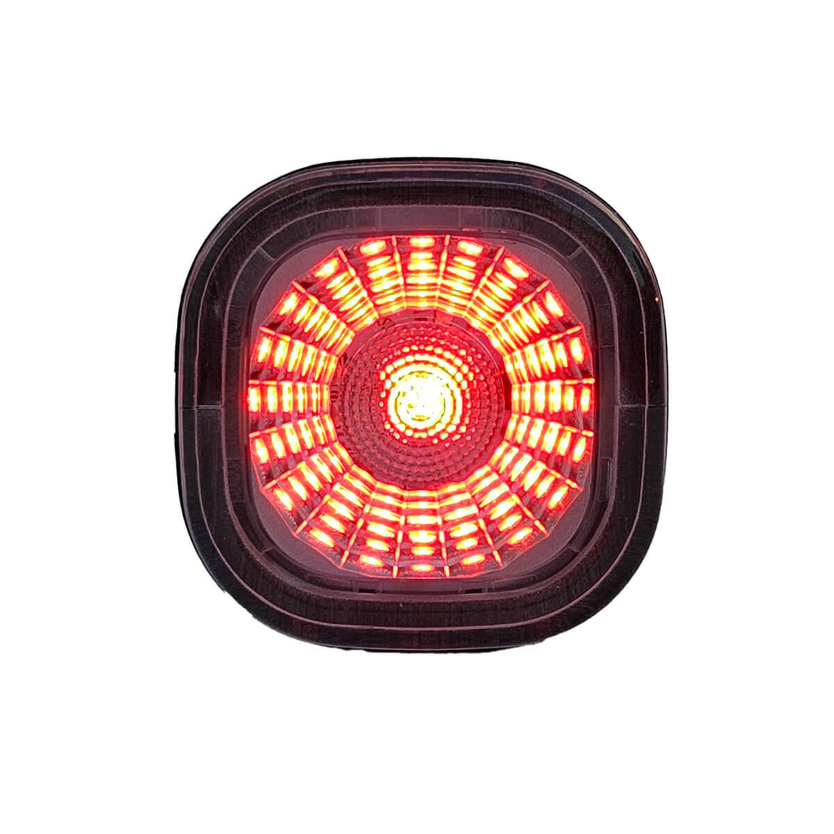 Rear Light